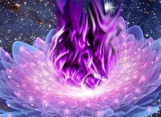 Quatre utilisations de la Flamme Violette